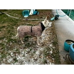 Image 4 of customer photos