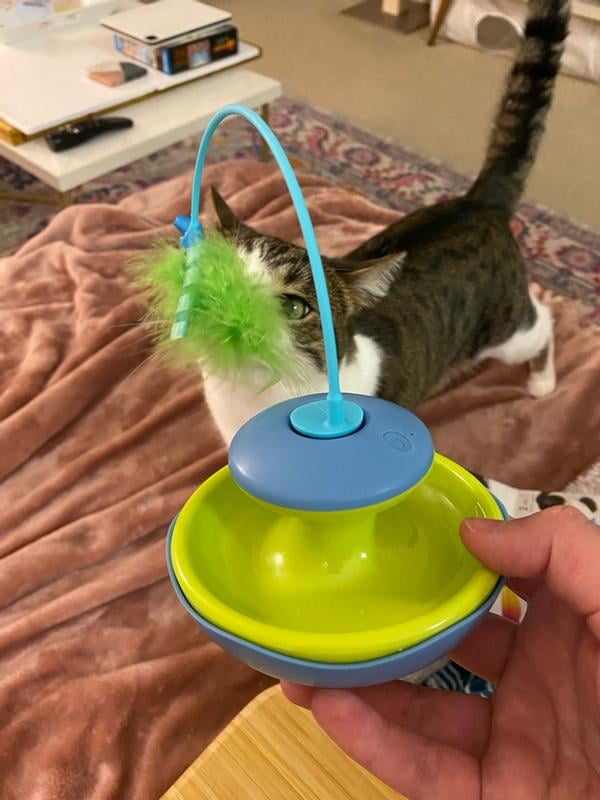 How to Change Batteries in Birdie Chase Cat Toy: Easy Step-by-Step Guide