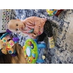 Image 1 of customer photos
