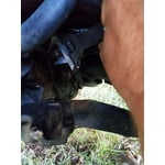 Image 3 of customer photos