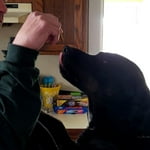 Image 5 of customer photos