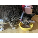 Image 6 of customer photos