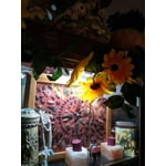 Image 6 of customer photos