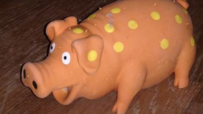 latex pig dog toy walmart