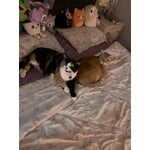 Image 3 of customer photos