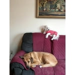 Image 1 of customer photos