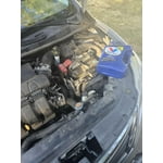 Image 3 of customer photos