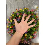 Image 3 of customer photos