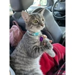 Image 5 of customer photos