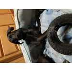 Image 7 of customer photos