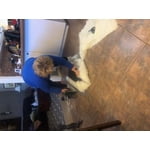 Image 7 of customer photos