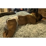 Image 6 of customer photos