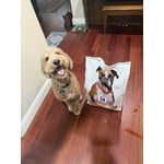 Image 5 of customer photos