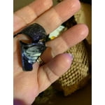 Image 6 of customer photos