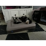 Image 7 of customer photos