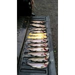 Image 6 of customer photos