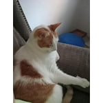 Image 5 of customer photos