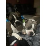 Image 7 of customer photos