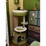 Image 2 of customer photos