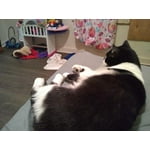 Image 1 of customer photos