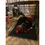 Image 7 of customer photos