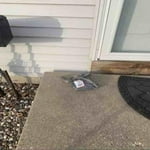 Image 2 of customer photos