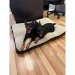 Image 3 of customer photos