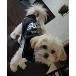 Image 4 of customer photos