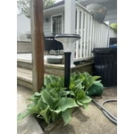 Image 2 of customer photos