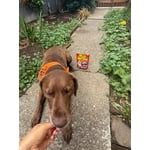 Image 5 of customer photos