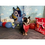 Image 2 of customer photos