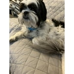 Image 6 of customer photos