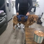 Image 3 of customer photos