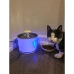 Image 4 of customer photos