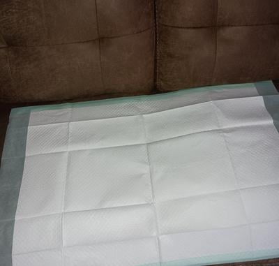 HealthLine Chucks Pads, Chux Disposable Underpads 23 x 36
