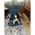 Image 4 of customer photos