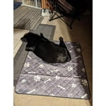 Image 5 of customer photos