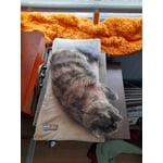 Image 5 of customer photos