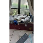 Image 7 of customer photos