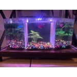 Image 2 of customer photos