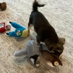 Image 1 of customer photos