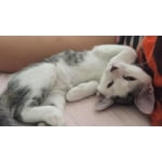 Image 5 of customer photos