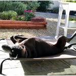 Image 4 of customer photos