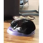 Image 3 of customer photos