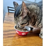 Image 5 of customer photos