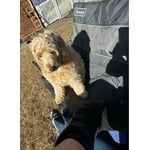 Image 4 of customer photos