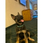 Image 1 of customer photos