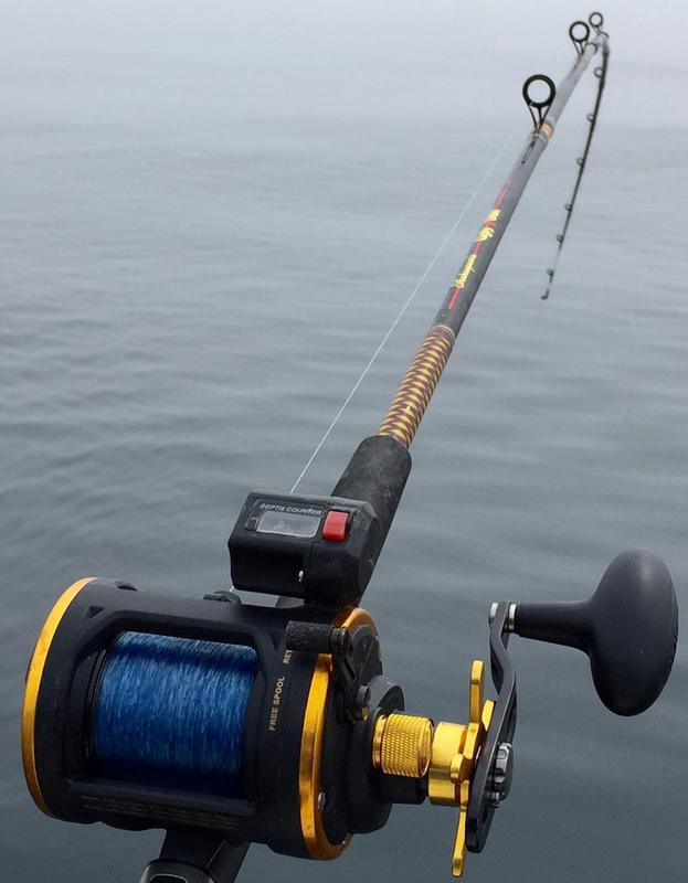 Details about   Penn Squall Level Wind Multiplier Trolling Sea Fishing Reel All Sizes Offered 