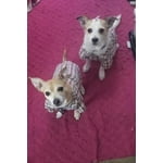 Image 2 of customer photos