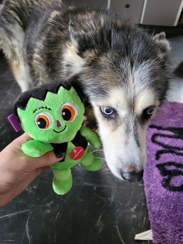 Vibrant Life Halloween 6in Squeaky Plush Dog Toy, Frankenstein